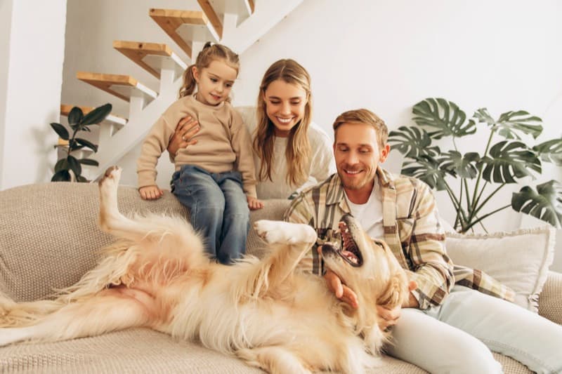 A young Perth family relaxing at home with their golden retriever